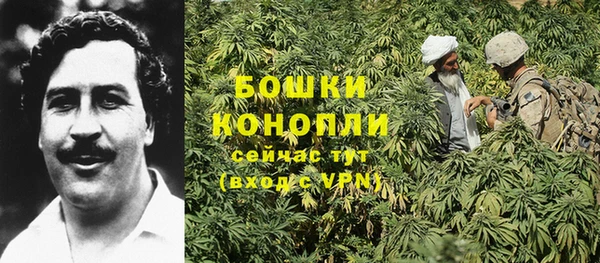 спиды Магас