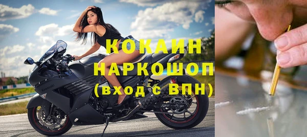 спиды Магас