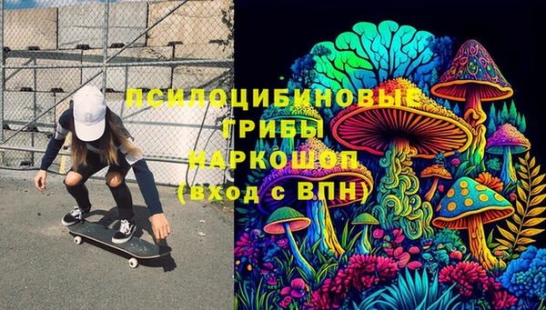 спиды Магас