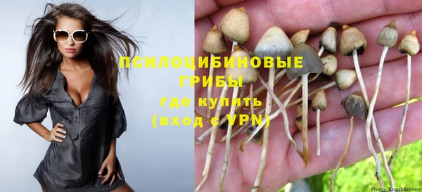 ГАЛЛЮЦИНОГЕННЫЕ ГРИБЫ Абаза