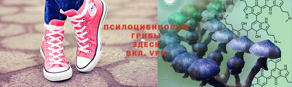 ГАЛЛЮЦИНОГЕННЫЕ ГРИБЫ Абаза