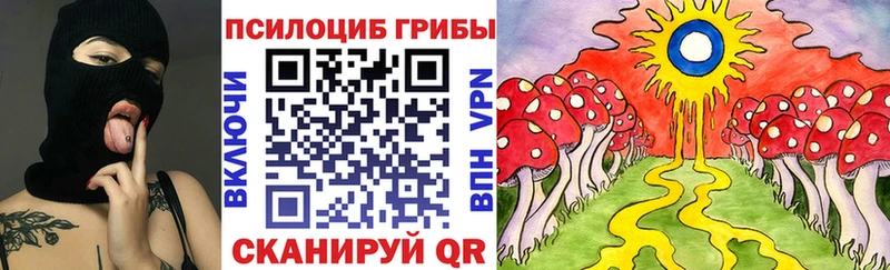 купить наркотик  Комсомольск-на-Амуре  Псилоцибиновые грибы Psilocybe 