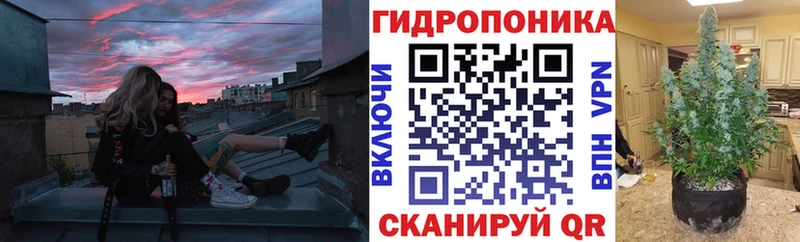 Бошки марихуана гибрид  omg рабочий сайт  Комсомольск-на-Амуре 